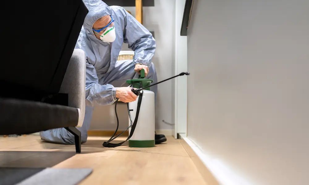 PropertyTalks's tweet image. buff.ly/ISTWG36 
Are you wondering what key questions to ask a pest control company before hiring them? Gain insights on crucial factors like their experience, treatment methods, and safety measures. Learn more here:  #HomeSafety #PestFreeLiving