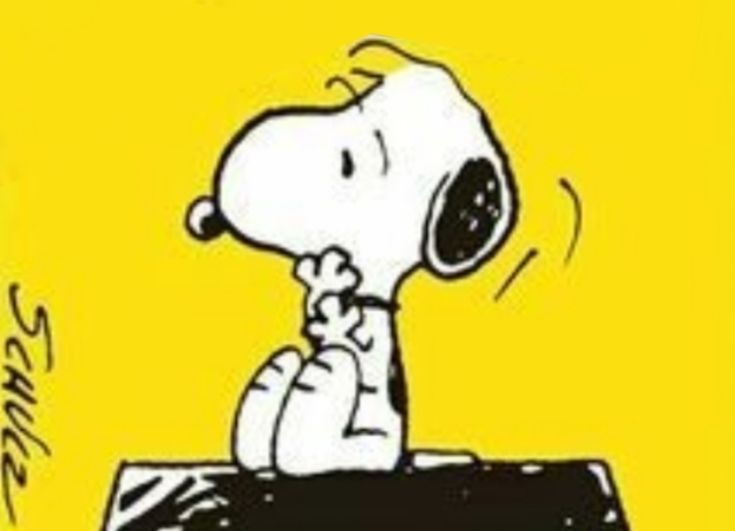 🐶D-209🐶
#김재환 #KIMJAEHWAN