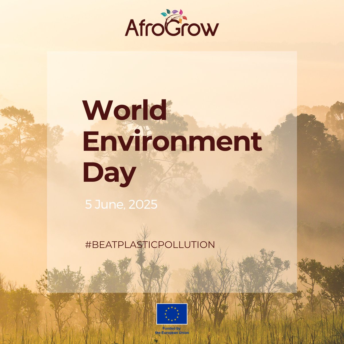 🌍 This #WorldEnvironmentDay, we support the 2025 call to #BeatPlasticPollution.

#AfroGrow promotes agroforestry as a nature-based path to healthier people, soils &amp; ecosystems. 

#Agroforestry #LivingLabs #Africa #HorizonEU