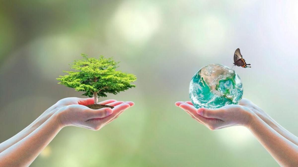 5 de junio Día Mundial del Medio Ambiente,cuidar nuestros ecosistemas y fomentar el respeto al medio ambiente.Muchas Felicidades