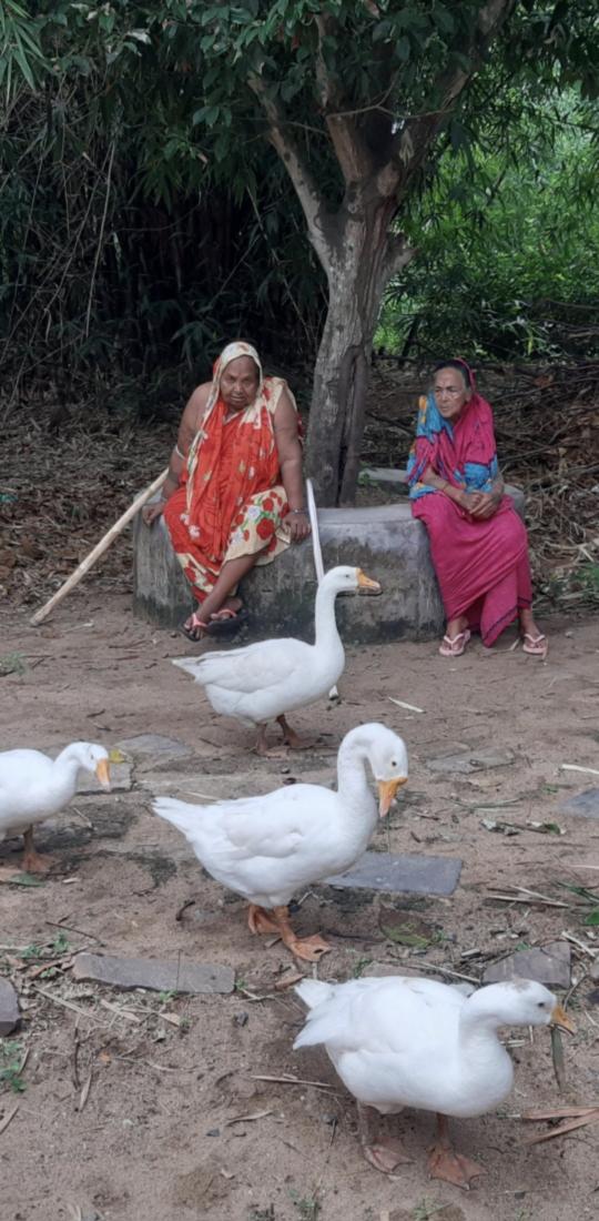 ଭରଦ୍ୱାଜ ଶ୍ରୀ ବିଷ୍ଣୁ ମୋହନ🚩Bishnu mohan Patra . tweet media