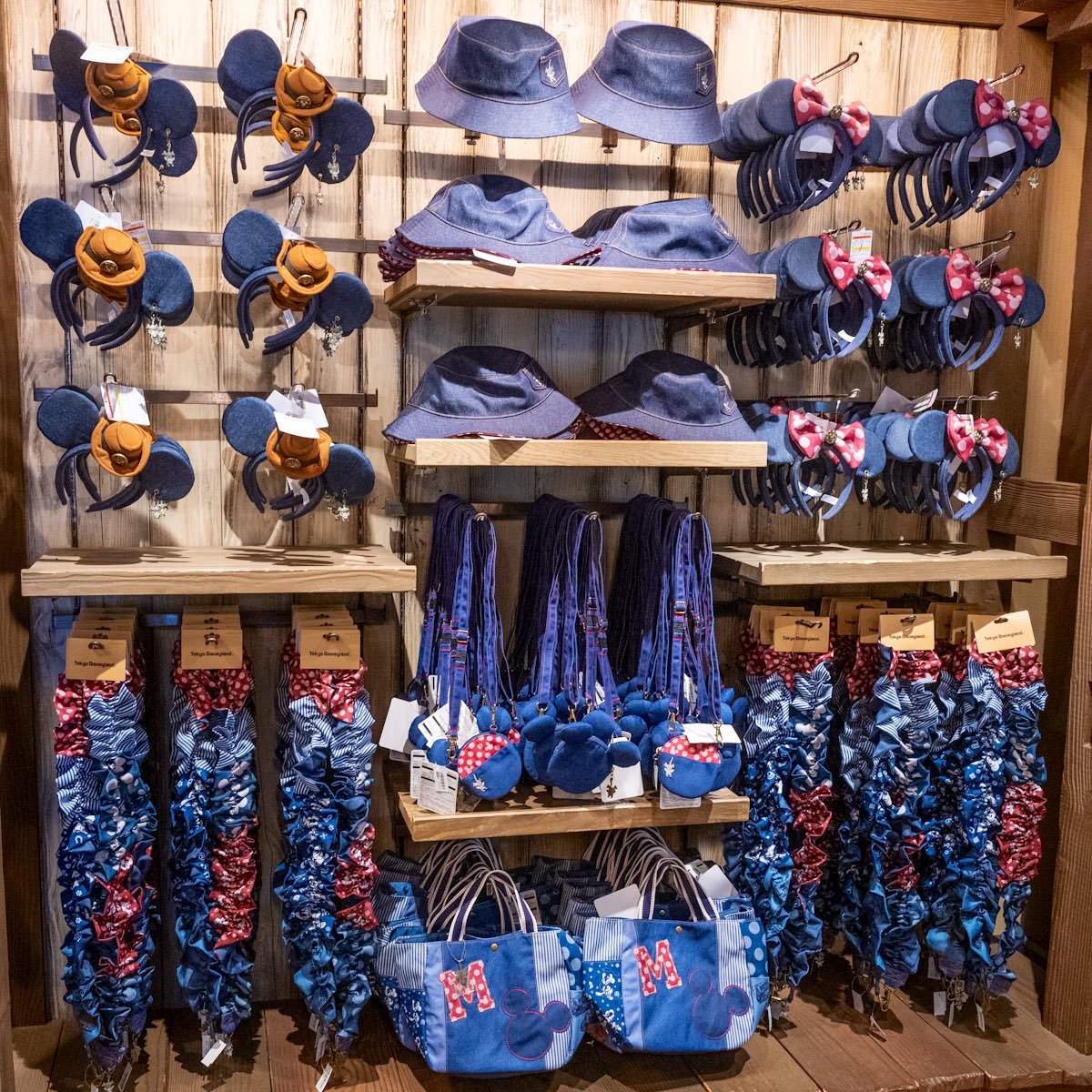 ビッグサンダーマウンテン」に登場するオポッサムデザインも！ 東京