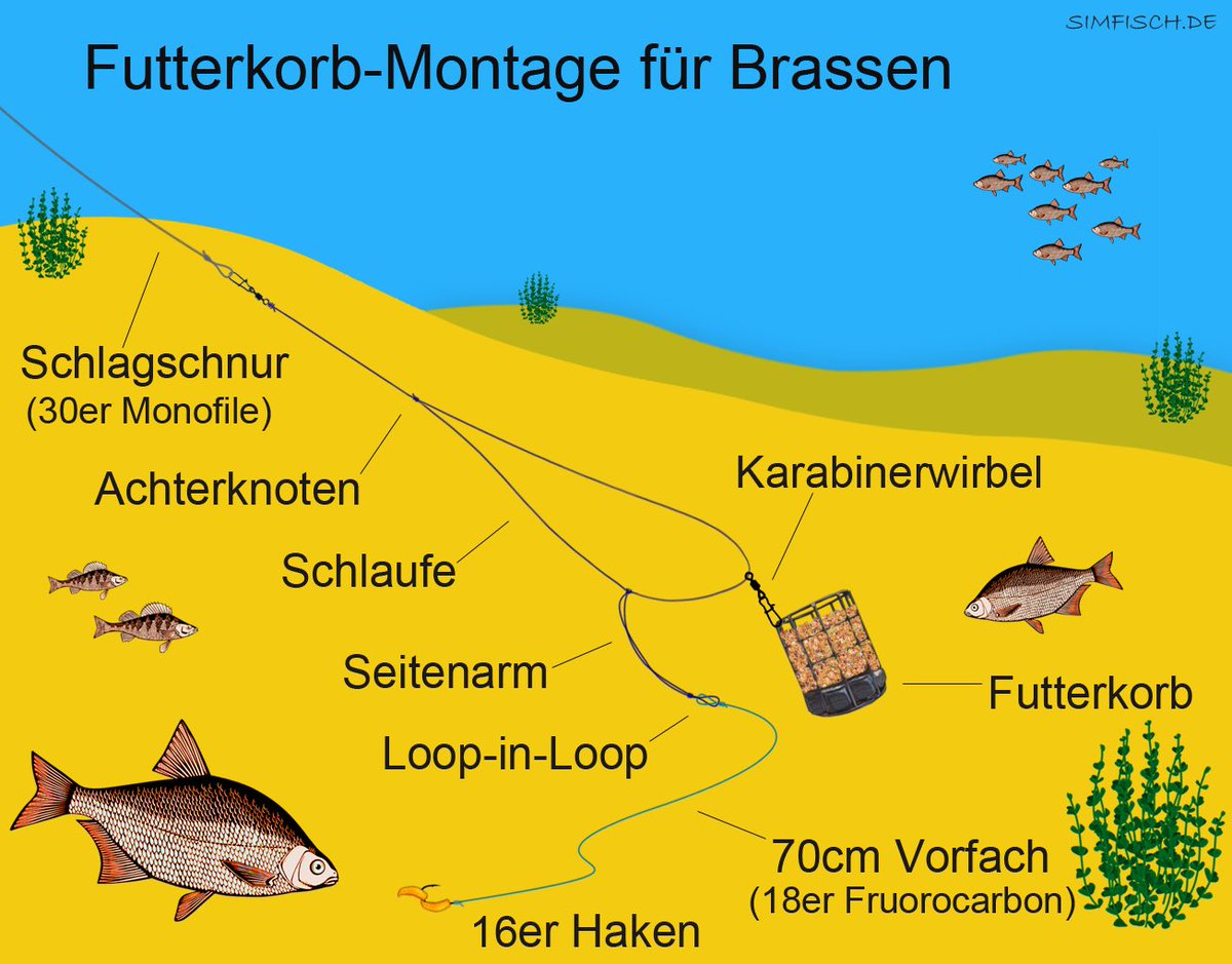 simfisch.de/brassen-angeln/