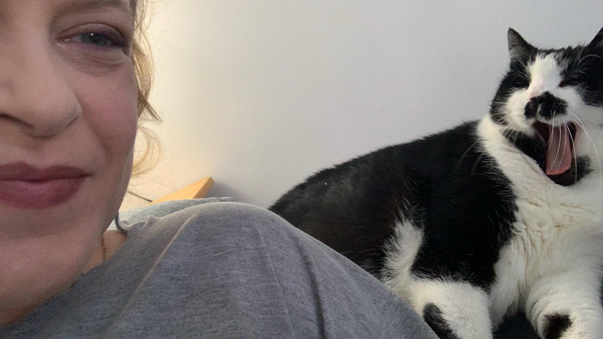 LynneMcbri8140's tweet image. Someone is sick of my shit #ladycat #CatsOfTwitter #catswithmustaches #tuxedocat #fatcat #ilovemycat