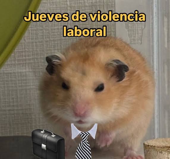 En_jupiter_'s tweet image. 