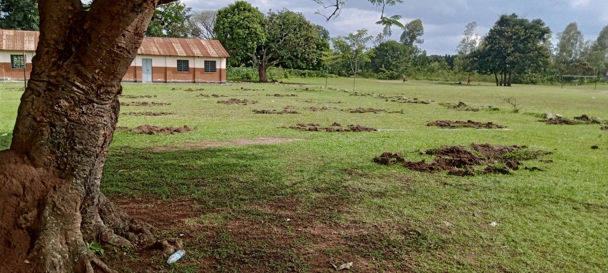 Climaticaf's tweet photo. This World Environment Day, @Climaticaf is commemorating the occasion by planting a school forest at Mollo Primary School in Tororo District.

We call on the world to accelerate the struggle for environmental sustainability-because the time to act is now.

#WorldEnvironmentDay https://t.co/LDOsrIRhYb