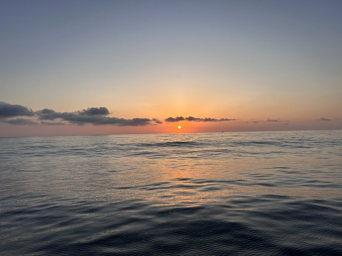 Ditcher718's tweet image. Random post