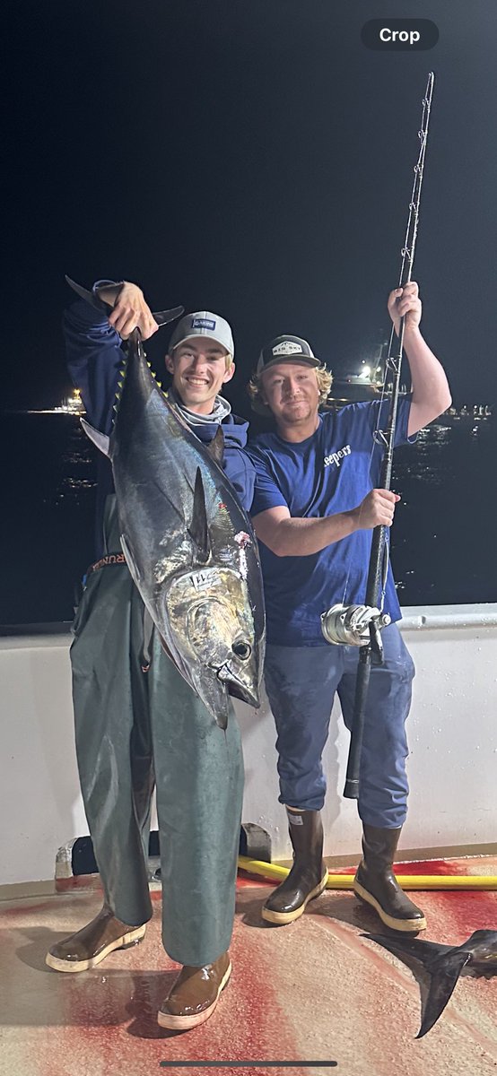 Ditcher718's tweet image. Random post