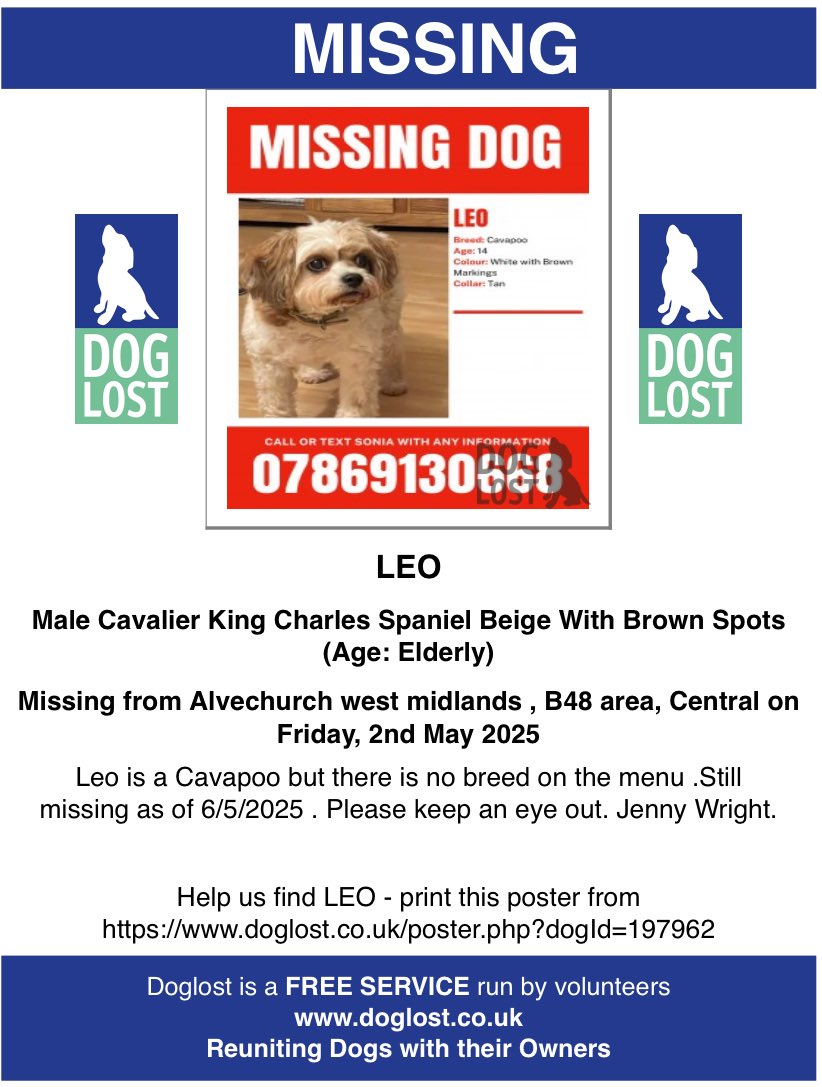 LEO IS STILL MISSING ALMOST 5 WEEKS 💔

Leo has been missing since the 2nd May’25 from our garden in #RowneyGreen #Alvechurch #Birmingham #WestMidlands 

We need him home asap!! Someone must know where he is and we need information 💔

Please keep sharing the post and help bring