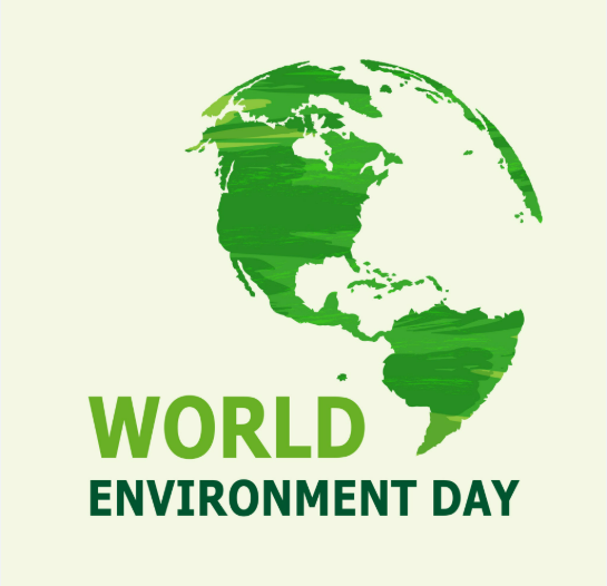 Across a wide variety of industries we’ve worked with clients to create packaging that’s both beautiful and better for the planet: hubs.ly/Q03qMdb50

#WorldEnvironmentDay #PlasticFree #SustainablePackaging #EcoDesign #CircularEconomy