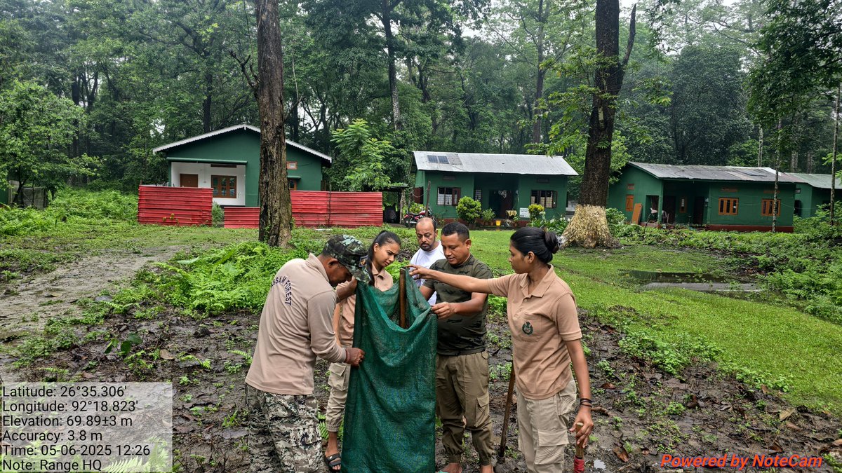 Celebrating #WorldEnvironmentDay at Orang NP&amp;TR — a haven for tigers, rhinos, elephants &amp; countless other species. Let's pledge to protect our forests &amp; wildlife. <a href="/CMOfficeAssam/">Chief Minister Assam</a> <a href="/assamforest/">Assam Forest Department</a> <a href="/cmpatowary/">Chandra Mohan Patowary</a> <a href="/ntca_india/">National Tiger Conservation Authority</a> <a href="/mkyadava/">mkyadava</a> <a href="/pradiptabaruah/">pradipta baruah</a>