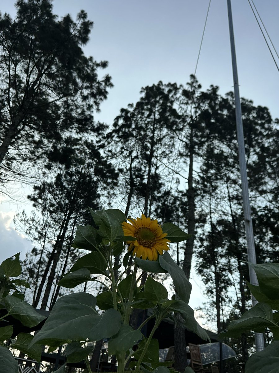 candyxori's tweet photo. Really love this man. This man made my day🤍✨🌻 https://t.co/5M5X6xks0w