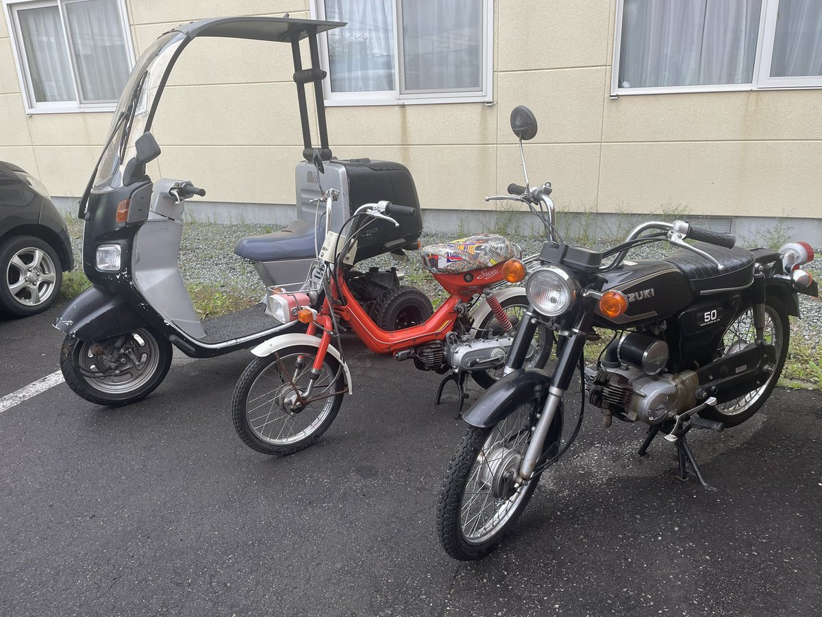 光林坊どうぶつえん通り店 新 on X: 