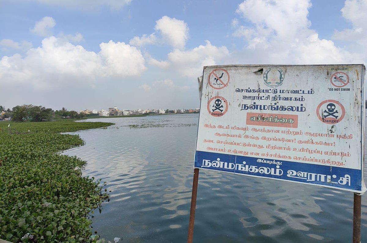 Citizen Matters (@citizenmatters) on Twitter photo This #EnvironmentDay, we dive into the condition of 5 key lakes in Chennai. Once lifelines, they’re now choking. Only concerned citizens are holding the line.
Download our special report based on months of research and writing by <a href="/Shobana_RKrish/">Shobana Radhakrishnan</a> what’s wrong and what can still This #EnvironmentDay, we dive into the condition of 5 key lakes in Chennai. Once lifelines, they’re now choking. Only concerned citizens are holding the line.
Download our special report based on months of research and writing by <a href="/Shobana_RKrish/">Shobana Radhakrishnan</a> what’s wrong and what can still