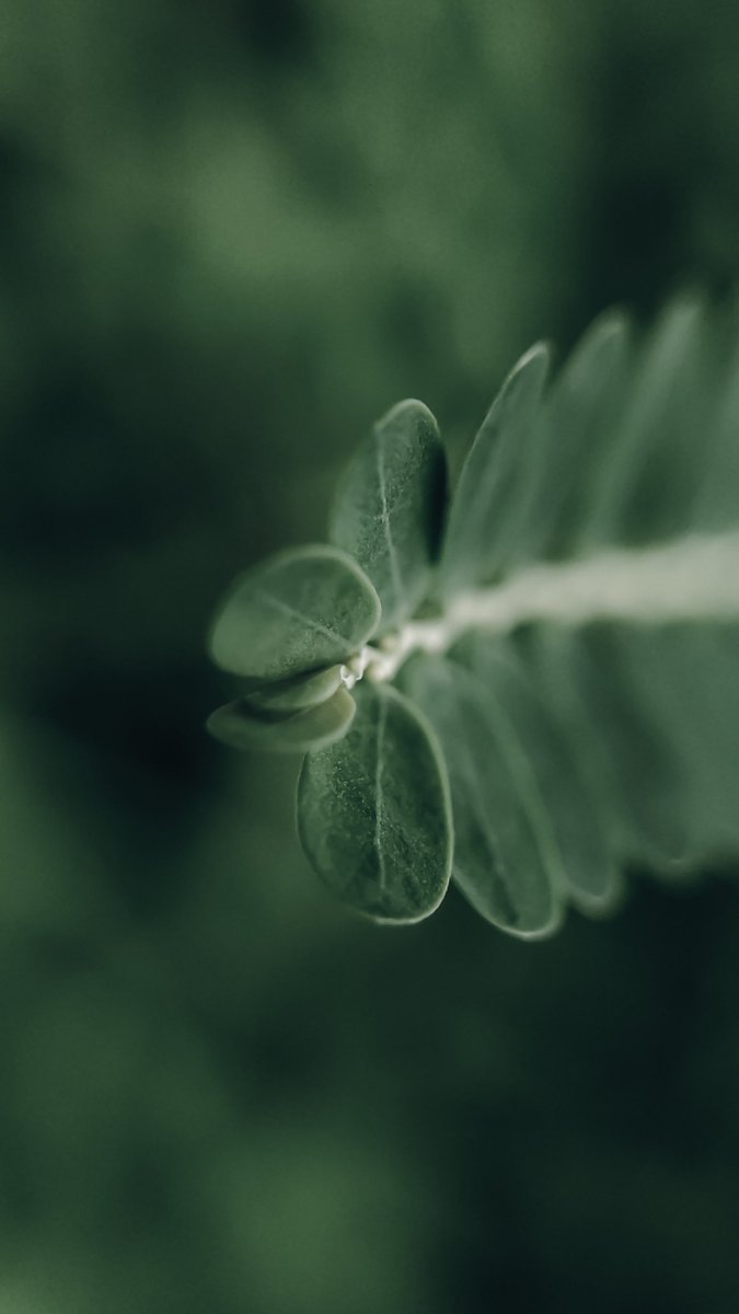 Rajesh R Kurup tweet media