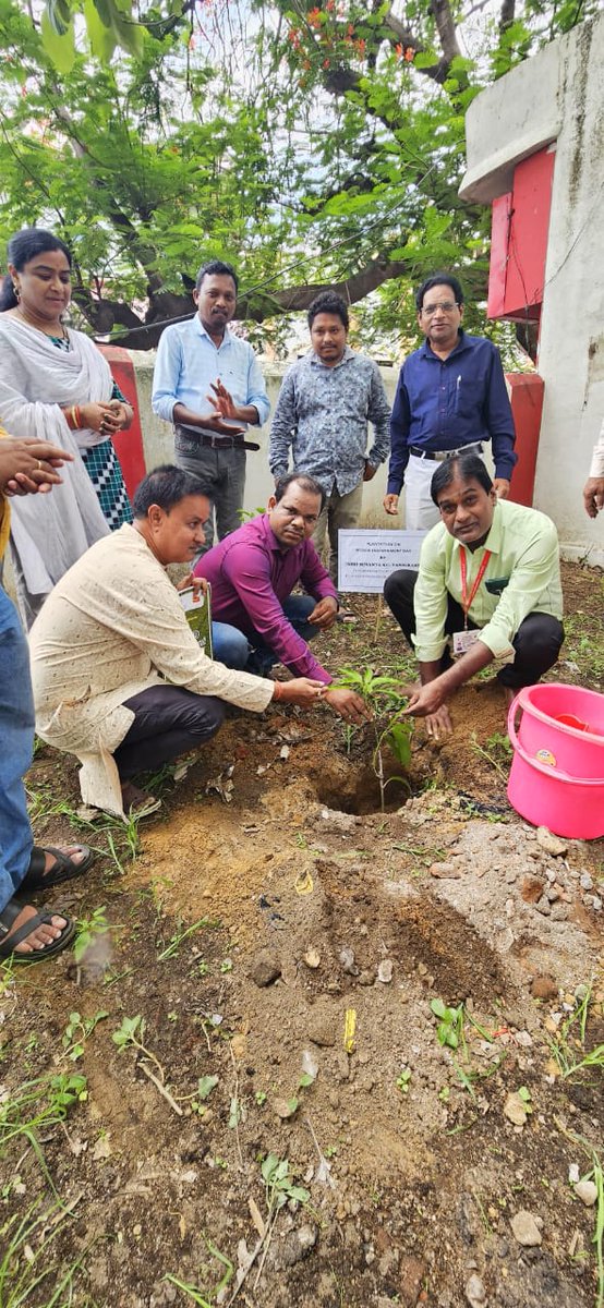 roberhampur's tweet image. A Special Cancellation Cachet was released and a Plantation Programme was organised by Kalahandi Division at Bhawanipatna HO on 05.06.2025 marking a meaningful contribution towards environmental awareness and sustainability.
#WorldEnvironmentDay2025
#awarenessprogram