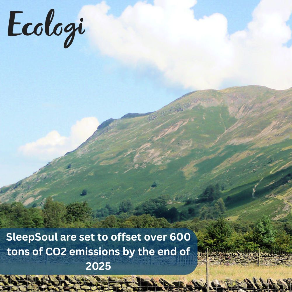 🌍 Celebrating World Environment Day at SleepSoul!

We believe great sleep shouldn’t come at the planet’s expense. That’s why we’re committed to reducing waste wherever we can♻️

Read more about our impact at zurl.co/Au8nH   

#SleepSoulCares #Sustainability