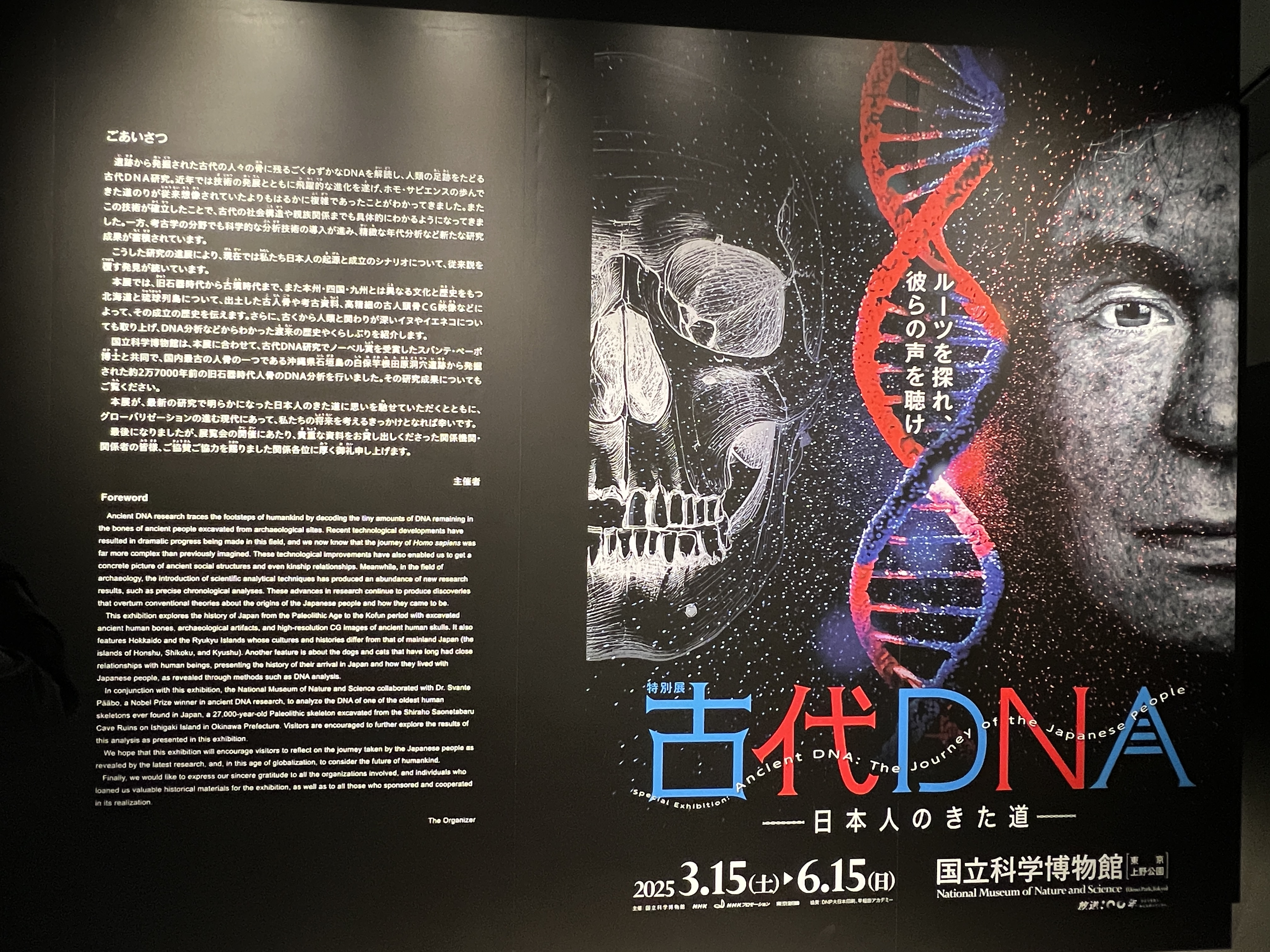 特別展「古代DNAー日本人のきた道ー」