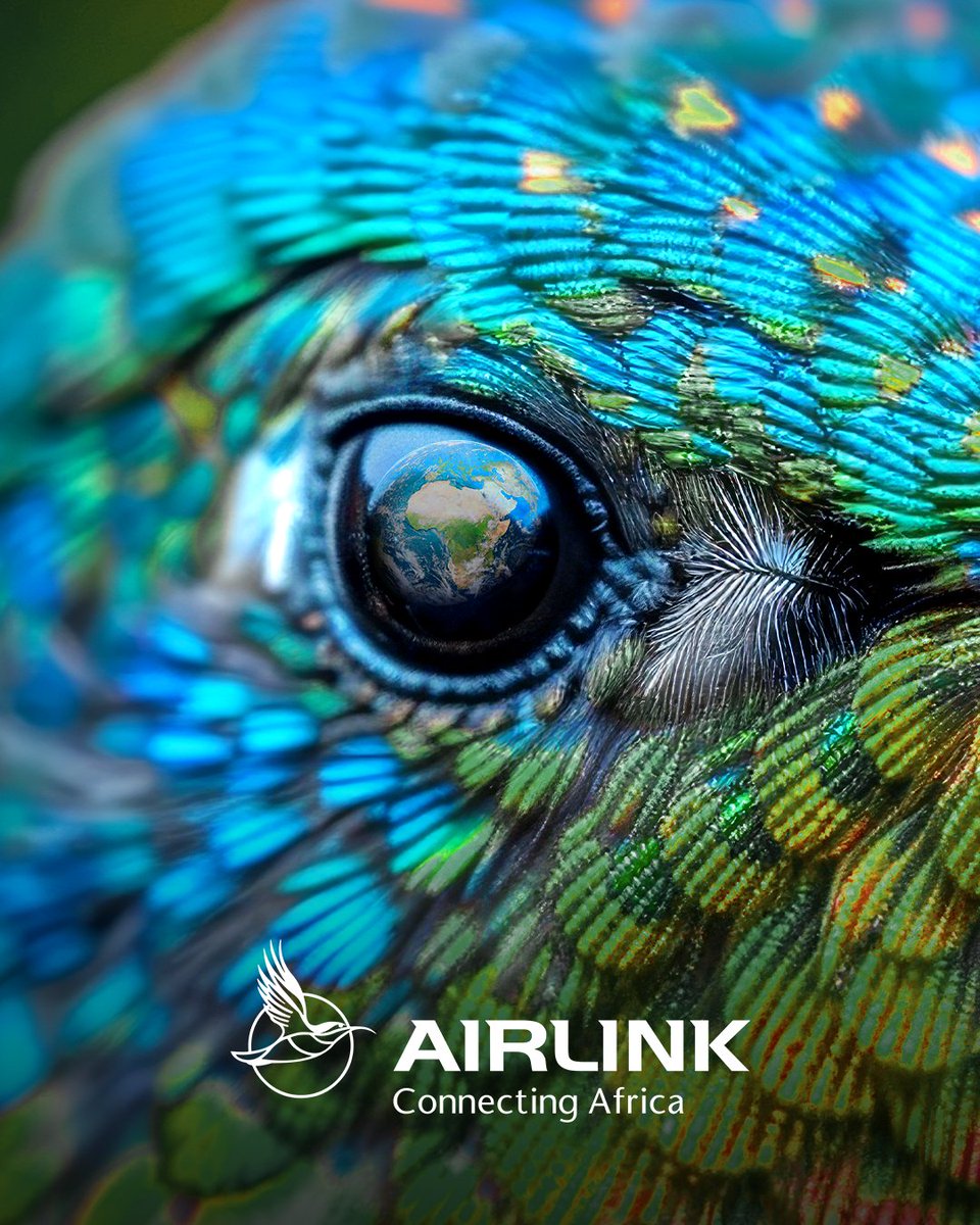 Happy World Environment Day 🌍 This #WorldEnvironmentDay, we are proud to keep soaring with sustainability in mind. A better planet starts with action. 🌱

Read more about our sustainability journey at: bit.ly/3XQAWiz

#Airlink #FlyAirlink #FlyTheLink #Skybucks