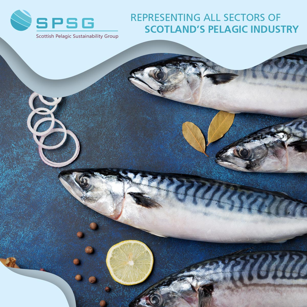 Research has shown that both mackerel and herring are good sources of vitamin D - and both types of fish should form a regular part of our diets.

spsg.co.uk

#mackerel #herring #BrainFood #My2aWeek #EatMoreFish #HeartHealthy #HealthyEating