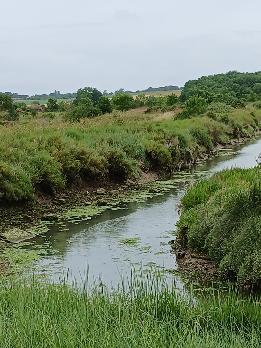 Freedom 🧘🏼‍♀️