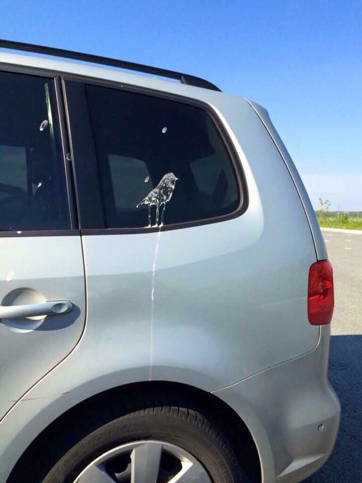 Kudos to the bird that managed to shit an image of itself onto this bloke's car.