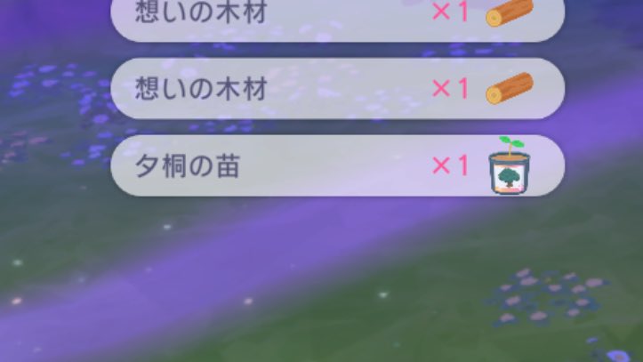 念願の夕桐の苗ついにゲット！！！
