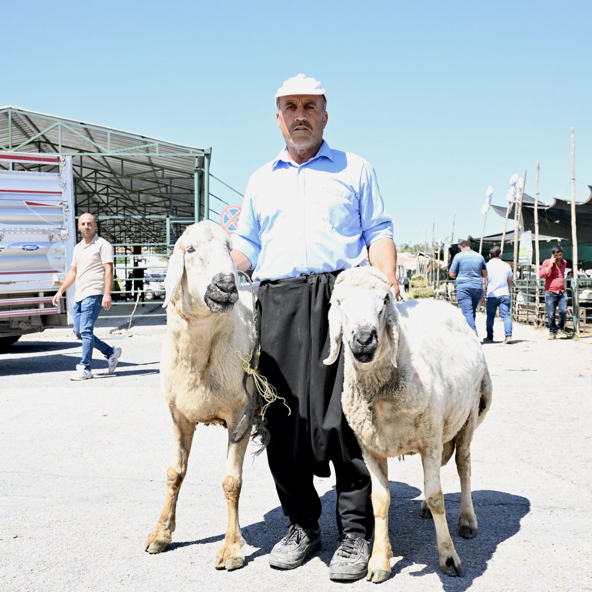 📍Hayvan Pazarı

Kurban Bayramı öncesi Milletvekilimiz Sn. İnanç Siraç Kara Ölmeztoprak ve Büyükşehir Belediye Başkanımız Sn. Sami Er ile birlikte hayvan pazarında esnaf ve vatandaşlarımızla bir araya geldik.

Bayram hazırlıklarını yerinde inceleyerek emek veren üreticilerimize