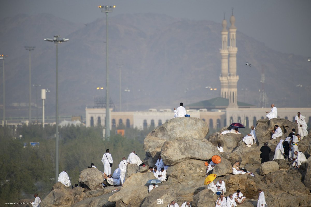 Malbustani 📷 محمد البستاني tweet media