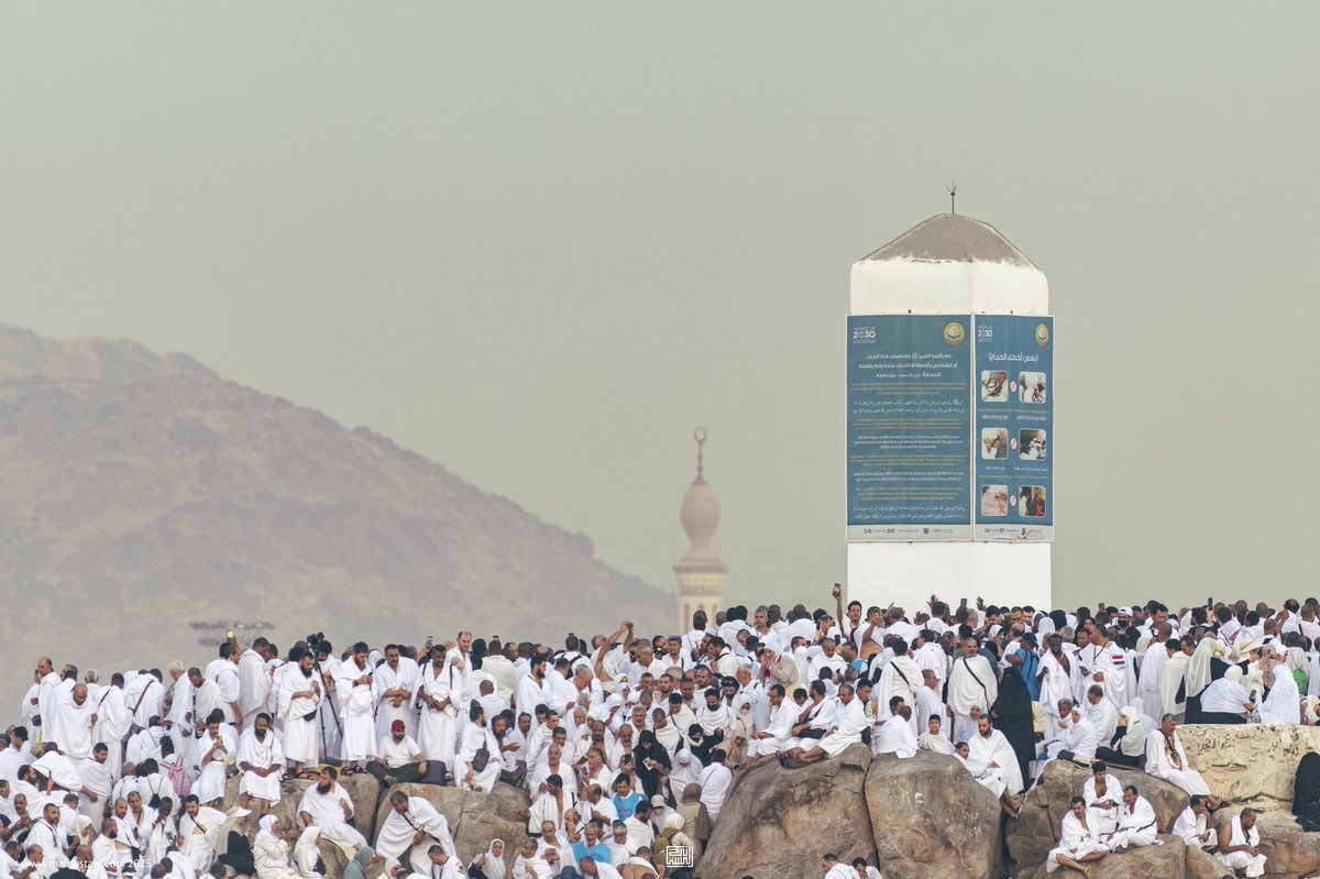 Malbustani 📷 محمد البستاني tweet media