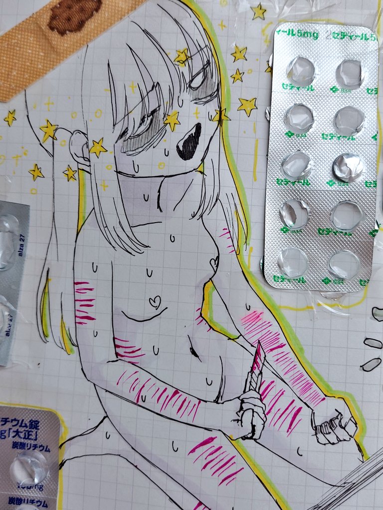 再掲