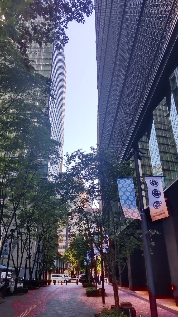 大手町なう

紀伊國屋書店が四分の一ぐらいに縮小されていた…
けれど、ビジネスマンにターゲットを絞った品揃え。マニアックな書籍も多くて楽しい☺