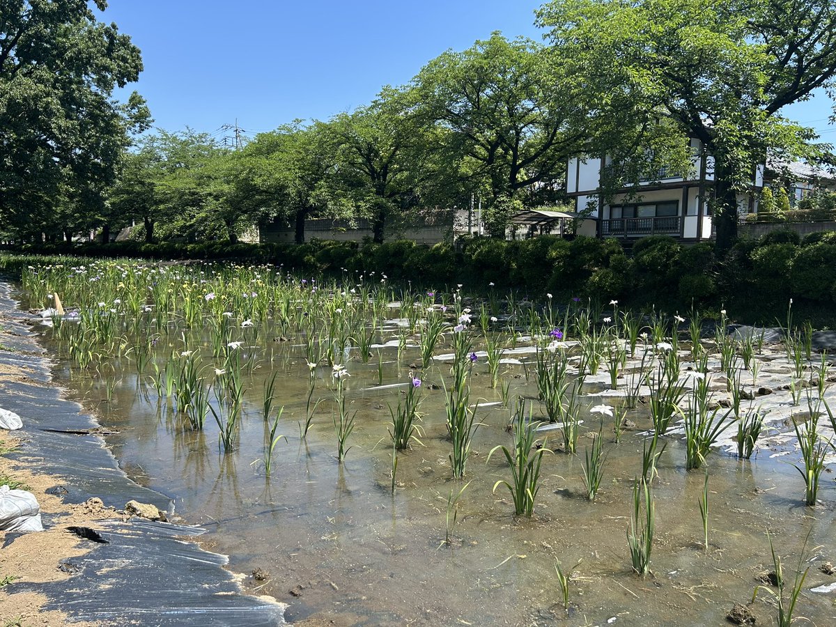 伊勢崎市観光物産協会 (@isesakikankou) / Posts / X