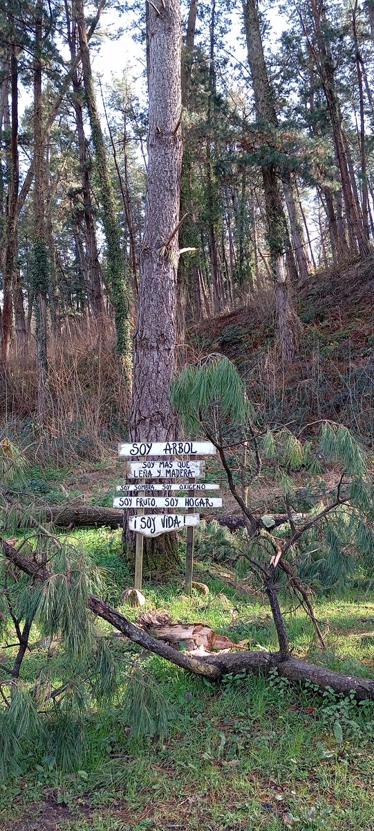 Mitocasuca's tweet photo. Los seres fantásticos de la mitología cántabra están ligados a la naturaleza. Las cuevas, montañas, ríos y bosques de Cantabria se convierten en lugares mágicos, llenos de vida, maldiciones, hadas y leyendas. Está en nuestra mano conservarlos. ¡Feliz #DiaMundialDelMedioAmbiente! https://t.co/LEEYdWiuNS