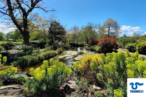🌅🦢Happy #WorldEnvironmentDay! We want to put a spotlight on rivers today.

Our rivers aren’t just home to much-loved wildlife like dragonflies, frogs and birds; they are also essential for people - providing water for our homes.🧵⬇️