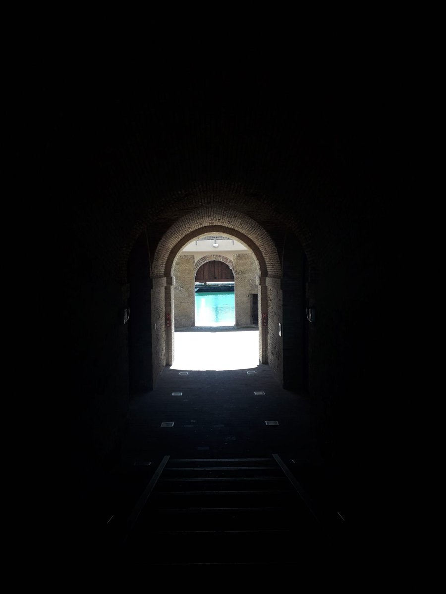 Museum week
5 giugno: parola chiave: Convivenza
Convivere con il mare: la vera casa del nostro museo.
#MuseumWeek #ConvivenzaMW #togethernessmw