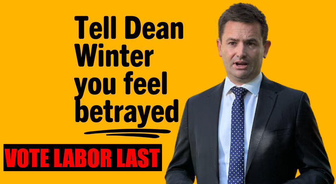 Tasmanians are set to go back to the polls, just 16 months after the last one.

Megalomaniac Labor leader Dean Winter, trying to ride on the coat tails of Albanese's election win, teamed up with the Greens to pass a no confidence motion in the Liberal government

#politas #auspol