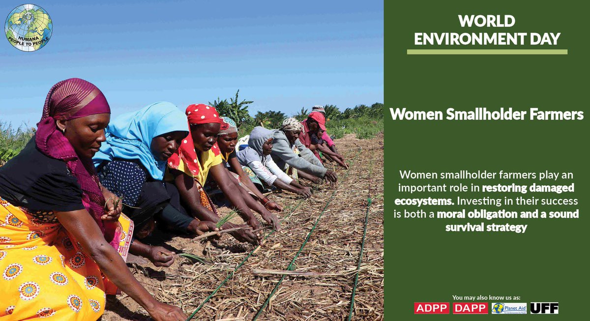 As the world commemorates World Environment Day, humanity faces severe environmental degradation, threatening to destroy livelihoods globally. Protecting the environment through sustainable practices is crucial to the well-being of the planet &amp; inhabitants. #WorldEnvironmentDay
