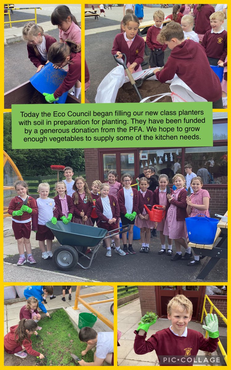 Exciting Eco Warrior news!