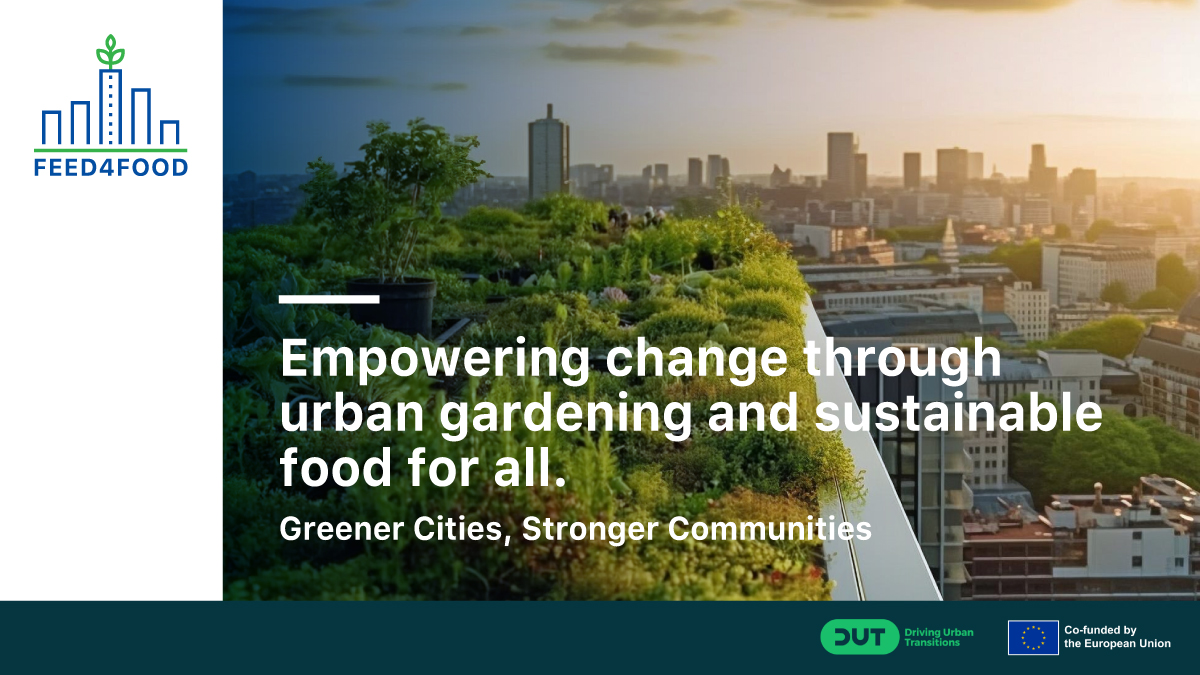 On World Environment Day, we celebrate living labs and Urban Agriculture supporting local vulnerable communities. #WED, #Feed4Food #sustainable #urbanagriculture.
<a href="/AREA_Innovation/">AREA</a>
<a href="/Apodissi_Intl/">Apodissi</a>
@DiSCDigitalSus1
<a href="/GERiLAB12/">GERi LAB</a>
<a href="/acwfs_VU/">Amsterdam Centre for World Food Studies</a>
<a href="/StrovolosM/">Strovolos_Municipal</a>
<a href="/enosikiriondra1/">ΕΝΩΣΗ ΚΥΡΙΩΝ ΔΡΑΜΑΣ</a>