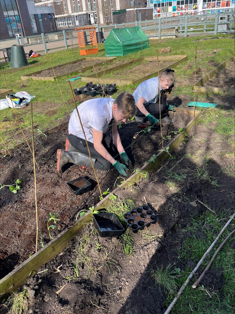 🌍 Happy #WorldEnvironmentDay2025!

Today, we’re celebrating the importance of getting outside and connecting with nature at school — whether it’s through fieldwork, gardening, or simply taking a moment to notice the world around us. 🍃🪲🌼💚#EcoLearning #OutdoorClassroom