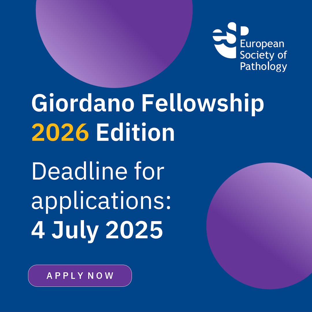 EspTrainee's tweet image. 🔍 #TeachingThursday
The Giordano Fellowship is a program for advanced training in pathology offered and supported by @ESP_Pathology  🇪🇺
📢 Applications for 2026 are open!
🔗esp-pathology.org/giordano-fello…
#ESPtrainee #PathX #PathTrainee #ESPalumni #GiordanoFellowship