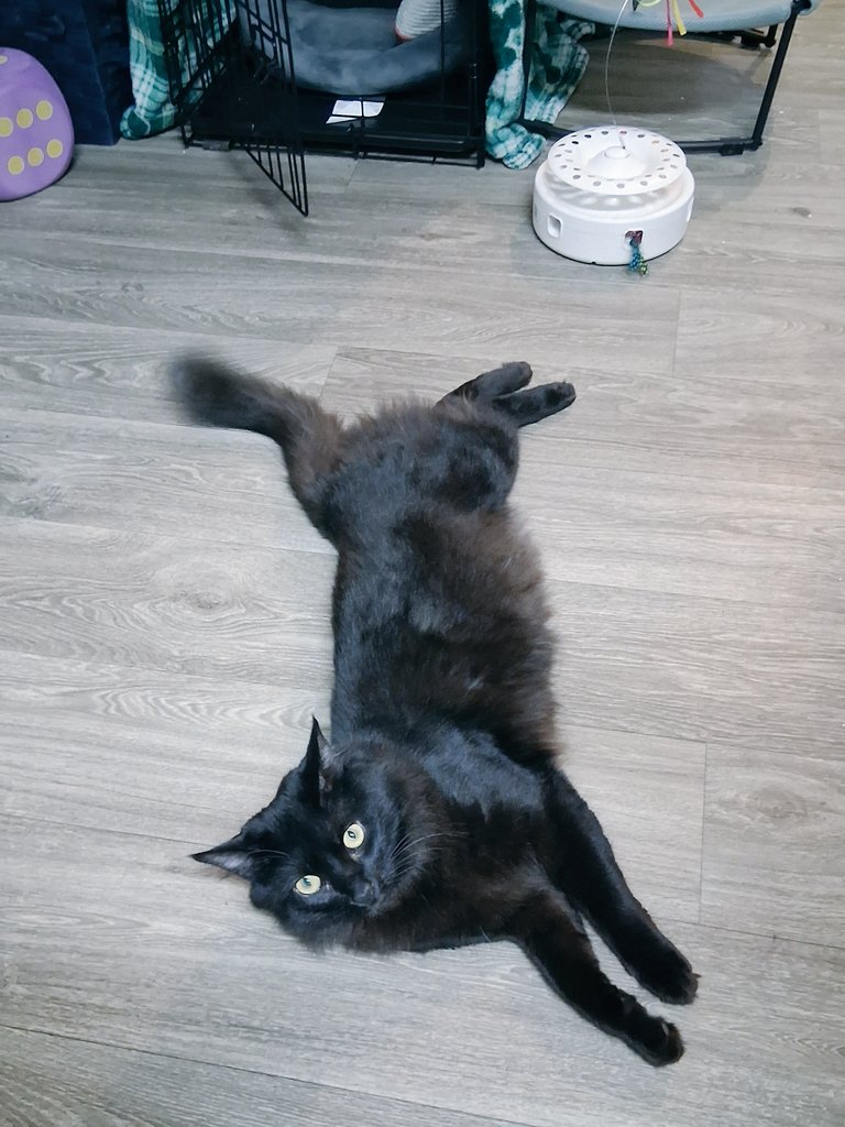 They grow up so fast 🥺