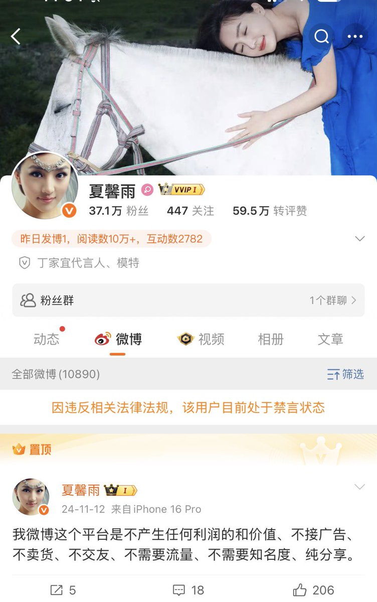 王局志安 tweet media