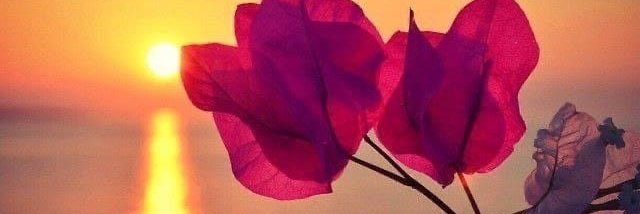 She is a Woman, she is a Mother, she is a daughter, she is a wife, she is a sister respect women. Before disrespecting a woman, think about how you were born into this world.💕💖💕