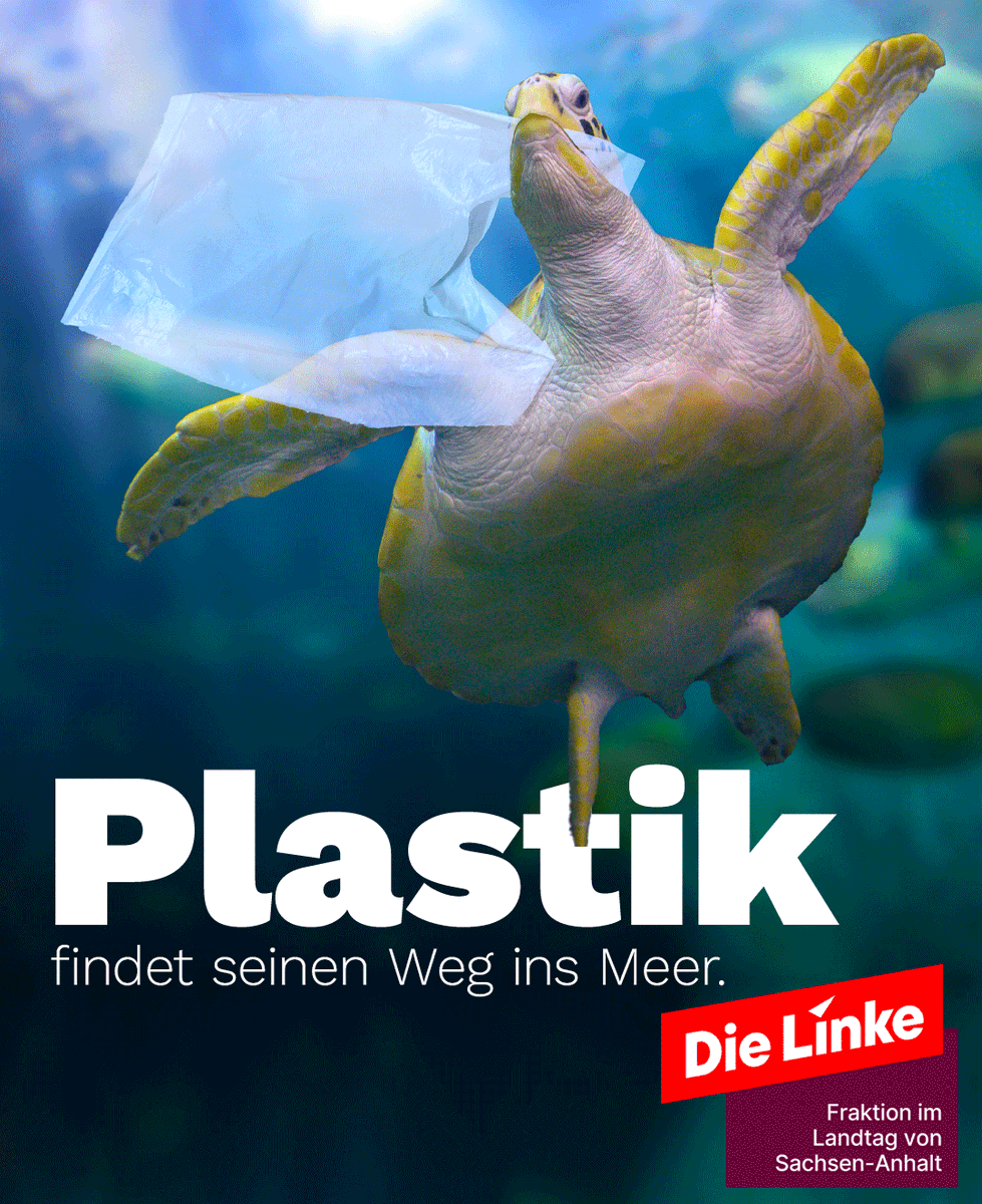 Qualle oder Plastiktüte? Für Meerestiere kann die Verwechselung tödlich enden. Zum diesjährigen #Weltumwelttag wird sensibilisiert, welche Ausmaße die #Plastikverschmutzung angenommen hat: 80 bis 150 Mio. Tonnen #Plastik schwimmen in den Ozeanen. #WorldEnvironmentDay #dielinke