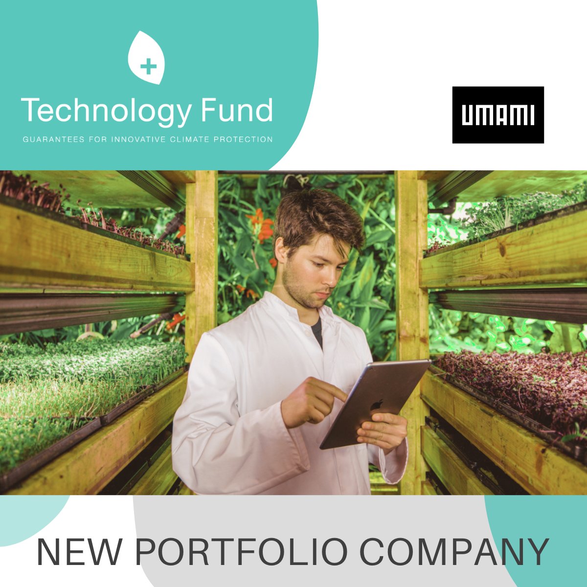 tech_fund's tweet image. 🎉 Congratulation to our new portfolio company UMAMI AG. The @tech_fund wishes Denis Weinberg, Robin Bertschinger and their team lot’s of success.

🌱 Umami was created to answer the main challenge of the food industry: produce food that tastes great using less resources.