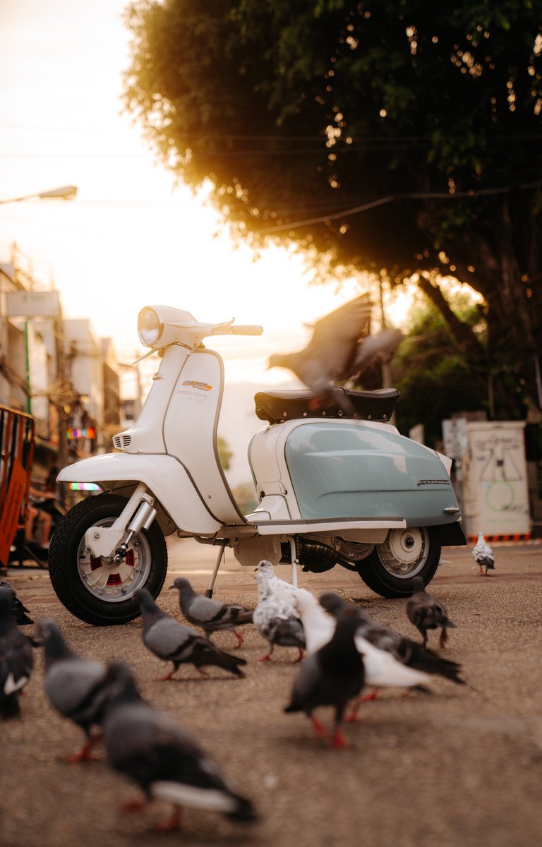 Where light meets nostalgia
Just captured a few shots with the new <a href="/polarpro/">jack duboc</a> CineGold 1/2 Mist Diffusion Filter, and it’s pure cinematic vintage magic. Infused with golden particles, it blooms, highlights anda  softens digital edges
#PolarProCineGold #polarpro #cinematiclook