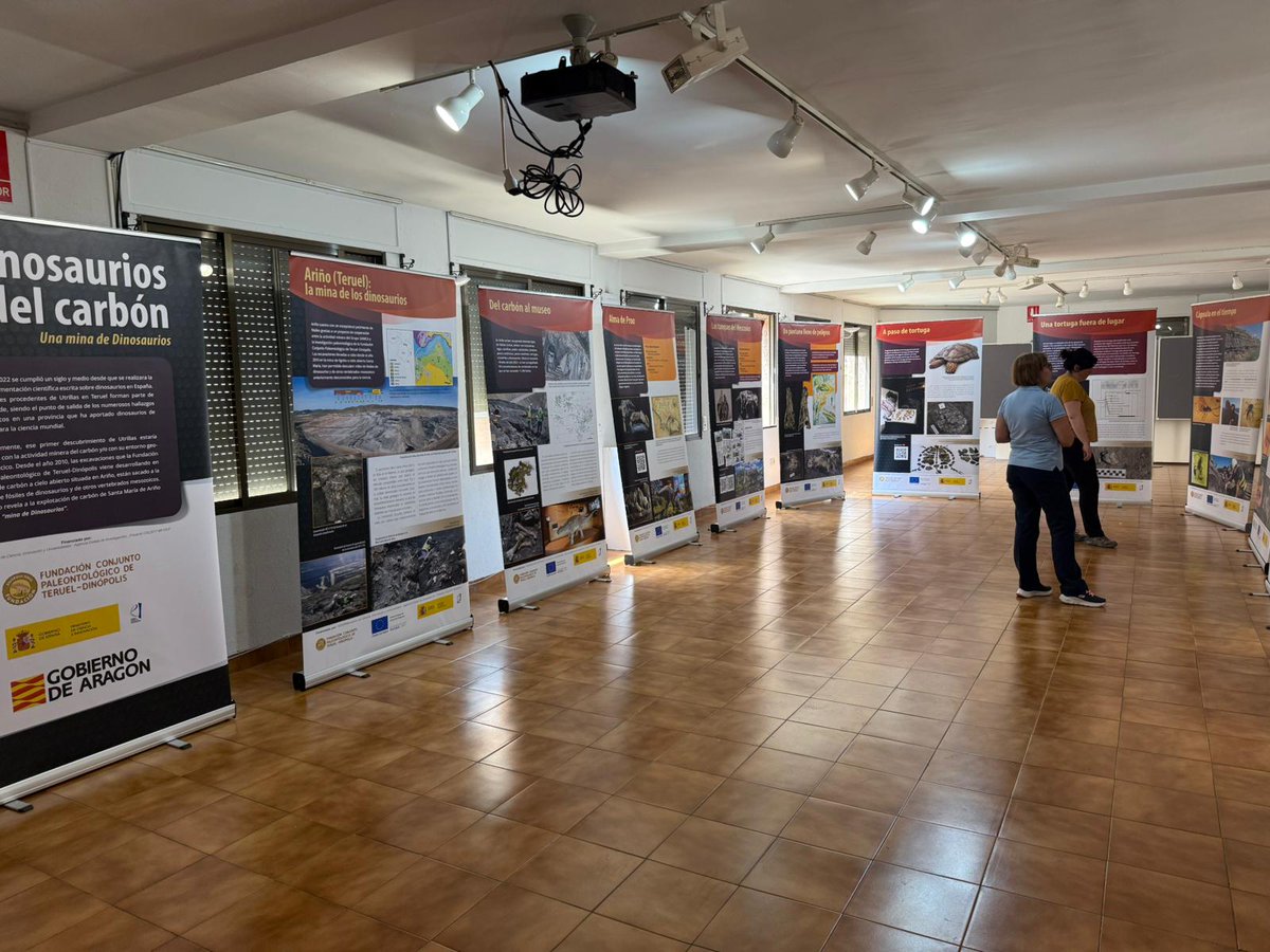 🆕🚨 La exposición “Dinosaurios del carbón” estará durante el mes de junio, y parte de julio, en Alcorisa 🚨🆕

👉 Más información en: bit.ly/expo_Alcorisa