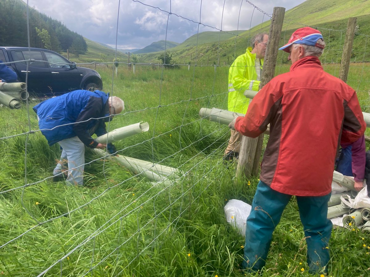 Join us for a Saturday volunteer workparty! 🔔 Join us at High Borrowdale for tree maintenance, walling work, and Friends of the Lake’s famous selection of cakes!
#workparty #LakeDistrict #Cakes